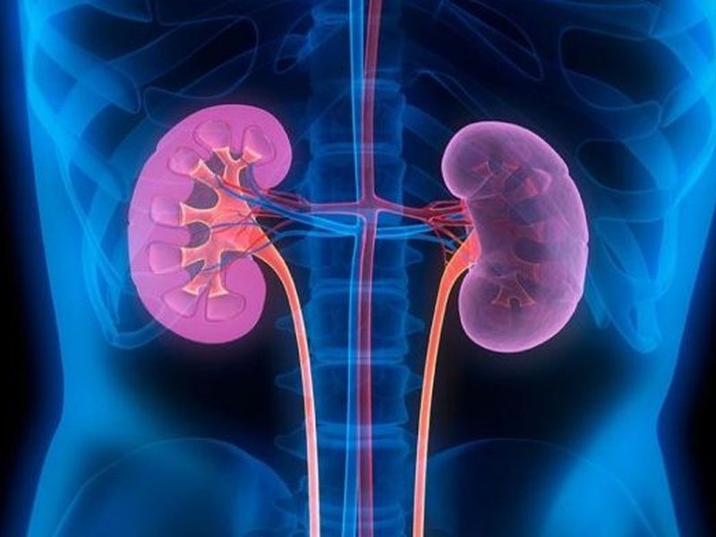 What are the causes a swollen kidney | कोणत्या कारणांनी किडनीवर येते सूज? जाणून घ्या कारणे 