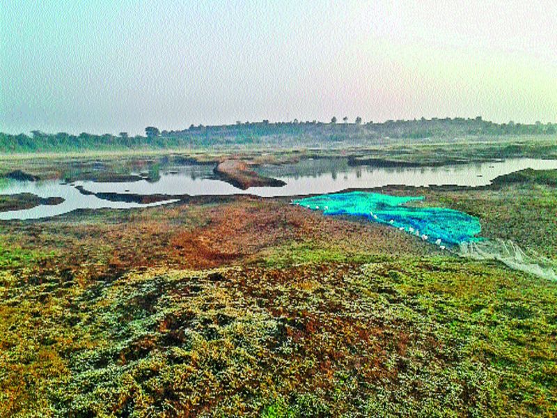Bhadalwadi reached the bottom of the lake, water pipe used for water | भादलवाडी तलावाने तळ गाठला, पाण्यासाठी होतेय पायपीट