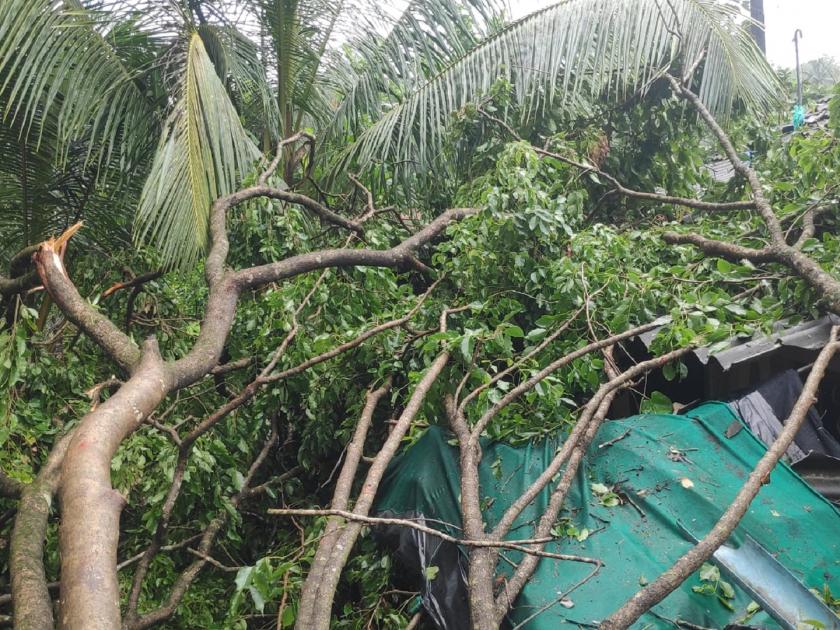 Talwade village in Sawantwadi taluka was hit hard by stormy rain at night | सिंधुदुर्ग: तळवडे गावाला वादळाचा फटका; घराचे पत्रे, छप्पर गेली उडून