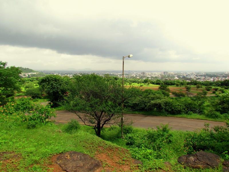 There is no deforestation in Pune's Oxygen Taljai Hill project | पुण्याचा ऑक्सिजन तळजाई टेकडीवरील प्रकल्पात वृक्षतोड नाही