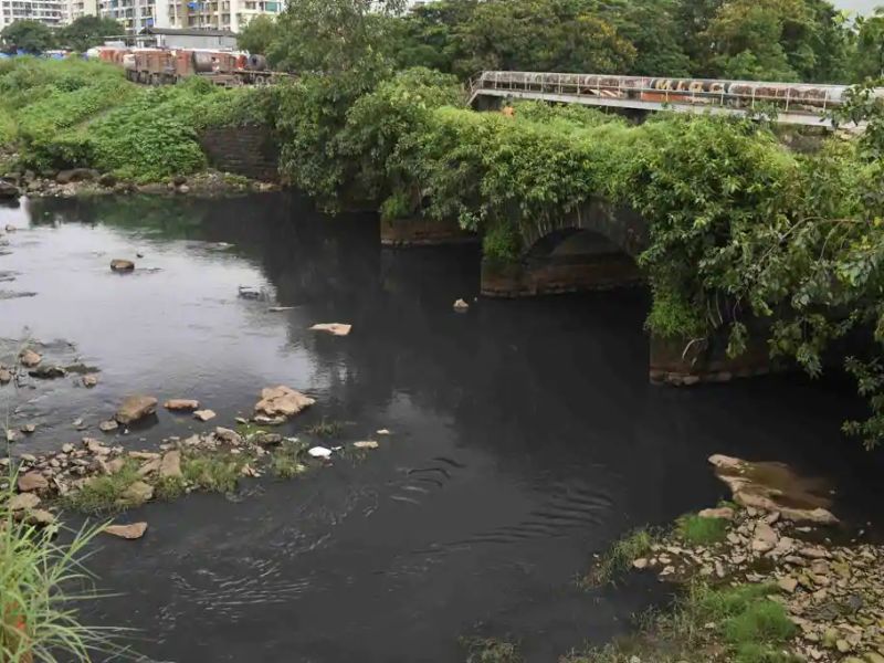 Taloja river pollution; Offense on Officials | तळोजा नदी प्रदूषण; अधिकाऱ्यांवर गुन्हा