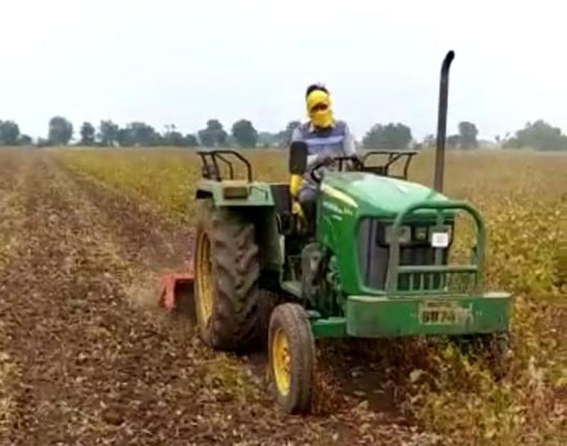 A desperate farmer turns a rotavator into a soybean crop | हताश सोयाबीन उत्पादक शेतकऱ्याने उभ्या पिकात फिरविला रोटावेटर
