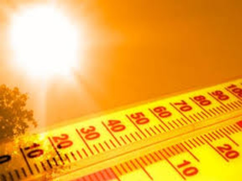 Temperatures of the state crosses 35 : Increase in heat | राज्यातील तापमानाचा पारा पस्तीशी पार : उन्हाच्या झळा वाढल्या 