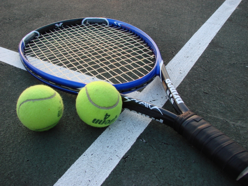  AITA committee to verify the age of tennis players | टेनिसपटूंचे वय पडताळणीसाठी एआयटीएची समिती