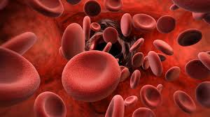 World Thalassemia Day: Want blood, bring blood donors, thalassemia patients in trouble | जागतिक थॅलेसेमिया दिन : रक्त हवे, रक्तदाता आणा,थॅलेसेमियाचे रुग्ण अडचणीत
