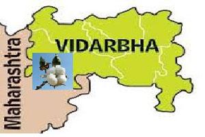  Will the agricultural rate of Vidarbha improve? | विदर्भाचा कृषी दर सुधारेल काय?