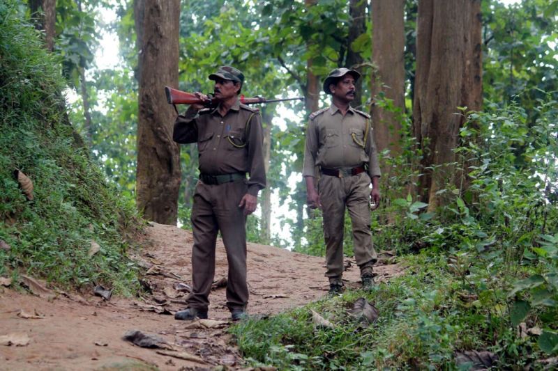 The question in the Legislative Assembly on the appointment of Forest Territory, Assistant Forest Guard | वनक्षेत्रपाल, सहायक वनसंरक्षकांच्या नियुक्तीवर विधानसभेत प्रश्न