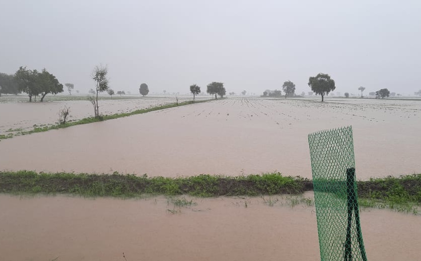 Thousands of hectares of agriculture under water in Akot taluka | अकोट तालुक्यात हजारो हेक्टर शेती पाण्याखाली 