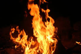 Three cattles charred to death in fire | गोठ्याला भीषण आग; तीन गुरांचा भाजल्याने मृत्यू  