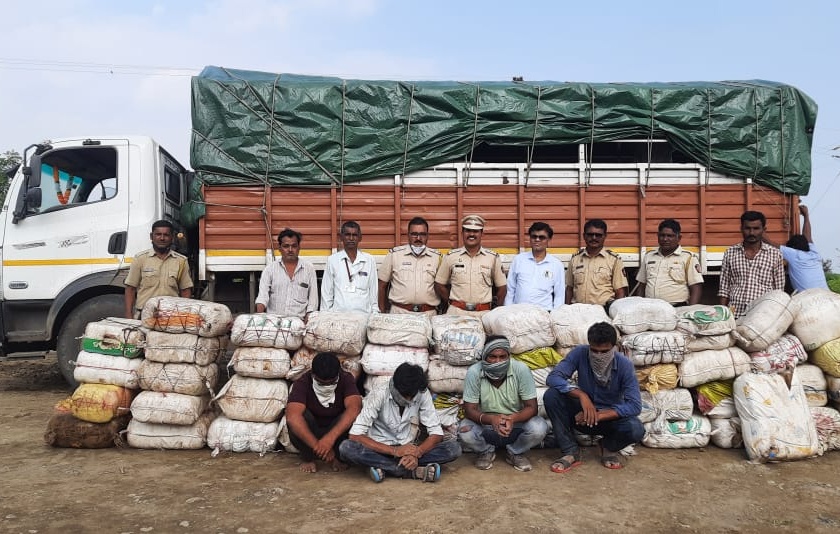 11 quintals 50 kg of cannabis worth Rs 3.5 crore seized | साडेतीन कोटी रुपयांचा ११ क्विंटल ५० किलो गांजा जप्त
