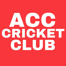 Three players of Akola are in the Vidarbha Cricket Team | अकोल्याचे तीन खेळाडू विदर्भ क्रिकेट संघात