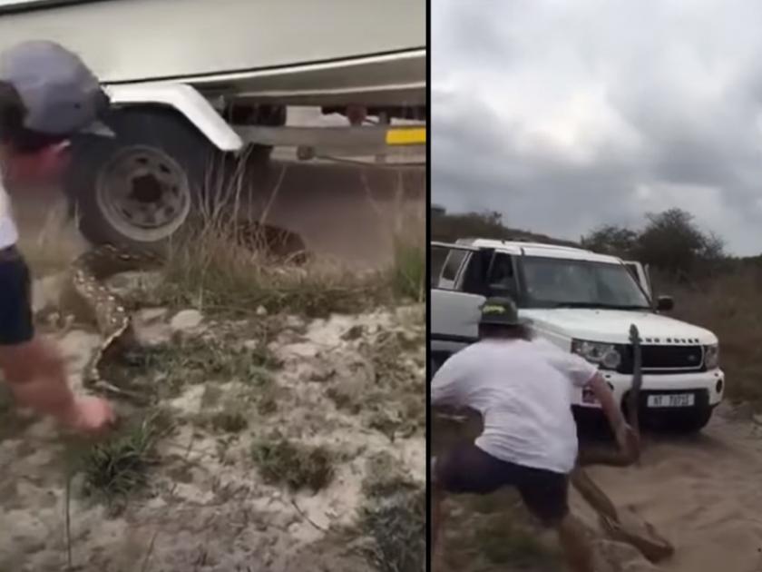 Viral video huge african rock python slides onto car in mozambique | Video : अचानक गाडीच्या बोनेटवर चढला 17 फुटांचा अजगर अन्...