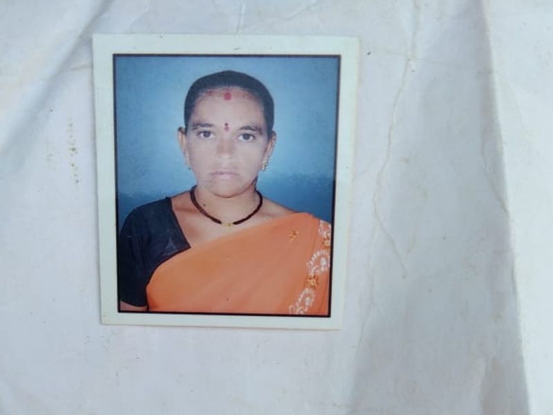 Death of a woman in a tiger attack In Chandrapur | चंद्रपुरात वाघाच्या हल्ल्यात महिलेचा मृत्यू