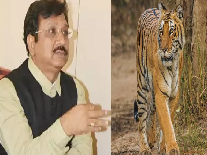 'Death of 38 tigers in a year is not a serious matter, 40-45 should die', strange statement of MP's forest minister Vijay Shah | 'वर्षभरात 38 वाघांचा मृत्यू गंभीर बाब नाही, 40-45 मरायला पाहिजे', भाजपच्या वनमंत्र्यांचे अजब वक्तव्य