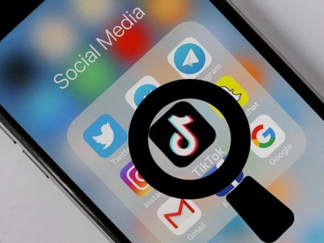 Central Government Direct To delete tiktok app from Google And Apple | TikTok अ‍ॅपवर बंदी आणण्याचे गुगल, अ‍ॅपलला आदेश