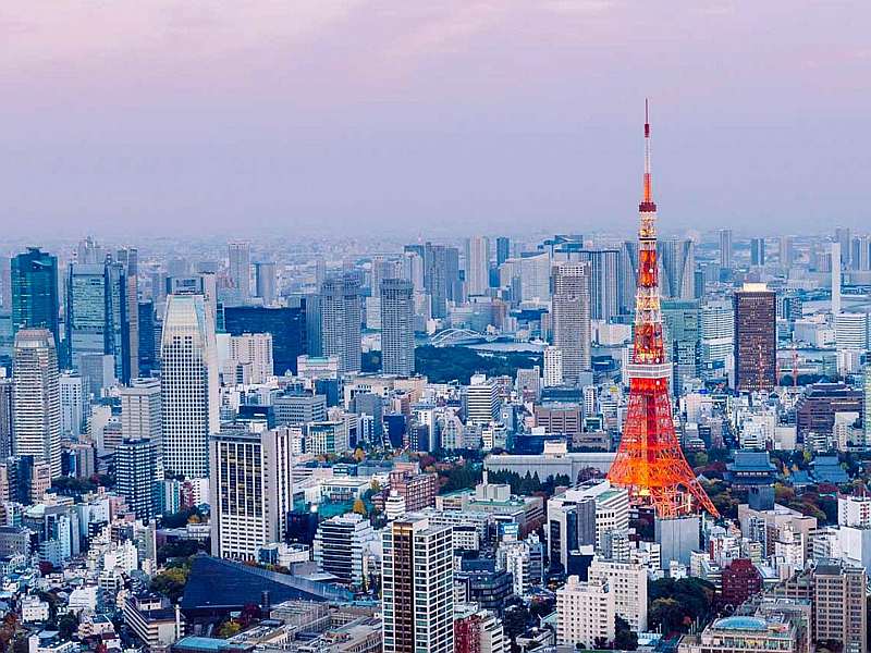 Tokyo is the safest city in the world, delhi on 53 number | टोकियो जगातील सर्वाधिक सुरक्षित शहर, दिल्ली जगात 'या' स्थानावर