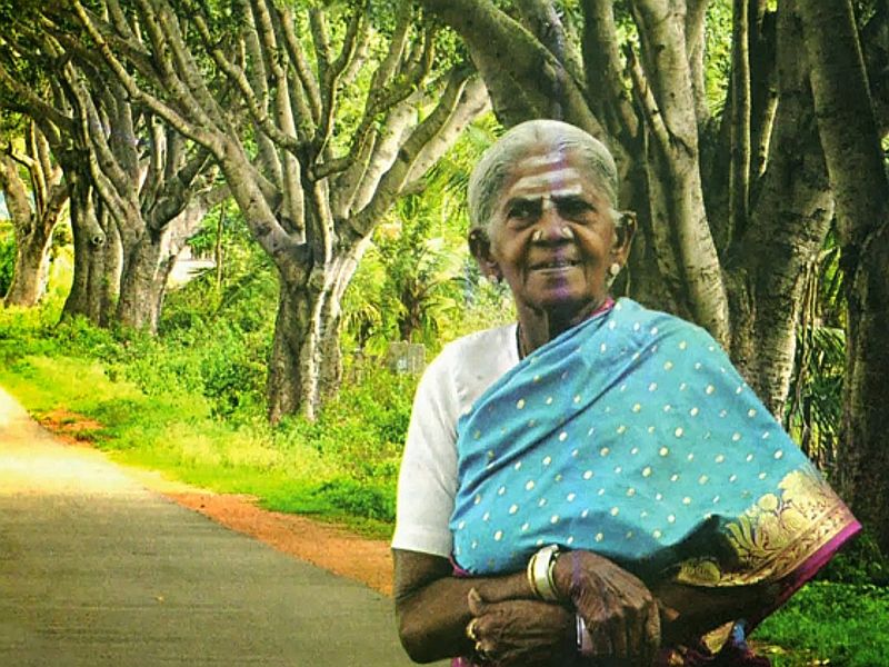 great work! 106-year-old Aajibai got 'Padmashri', proud of planting 384 wad trees | अतुलनीय कार्य! 384 वडाची झाडं लावणाऱ्या 106 वर्षीय आजीबाईचा 'पद्मश्री'नं गौरव