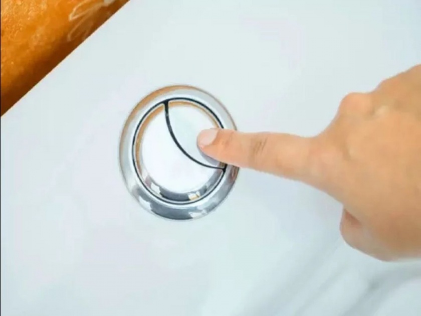 Why toilet flush has two buttons one large and one small | टॉयलेट फ्लशमध्ये दोन बटनं का असतात? कारण वाचून व्हाल अवाक्
