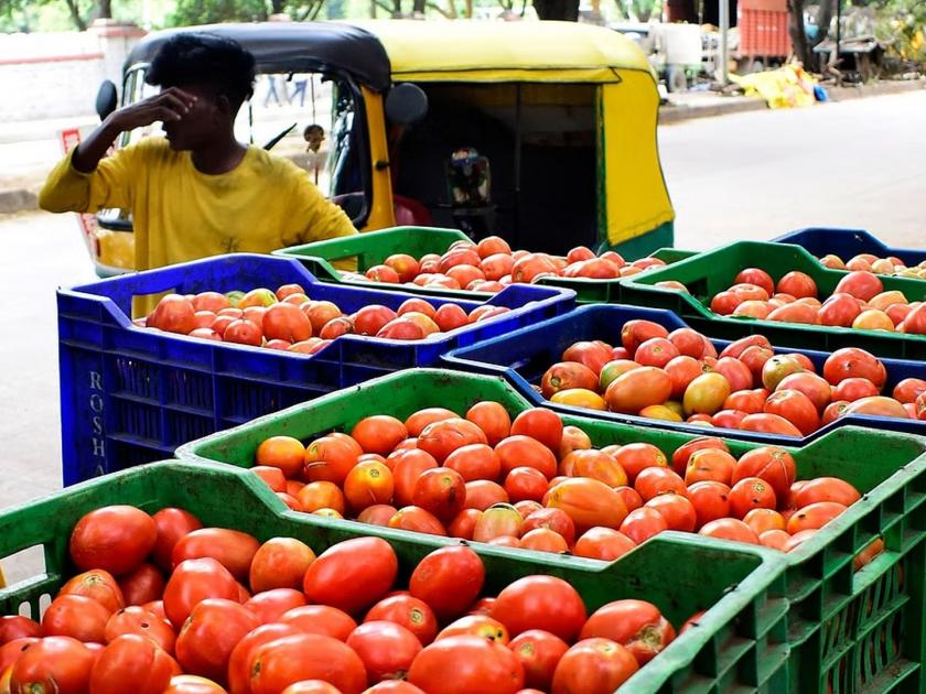 Tomato likely to cross 200 again; What are the current rates in Mumbai, across the country... | टोमॅटो पुन्हा २०० पार जाण्याची शक्यता; मुंबई, देशभरातील आत्ताचे दर काय...