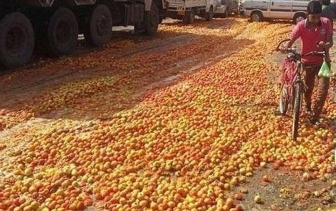 'Lal Mud' on Nashik-Pune highway; Due to the collapse of the tomato poured tomato on the road | नाशिक-पुणे महामार्गावर ‘लाल चिखल’; भाव कोसळल्याने टोमॅटो ओतले रस्त्यावर