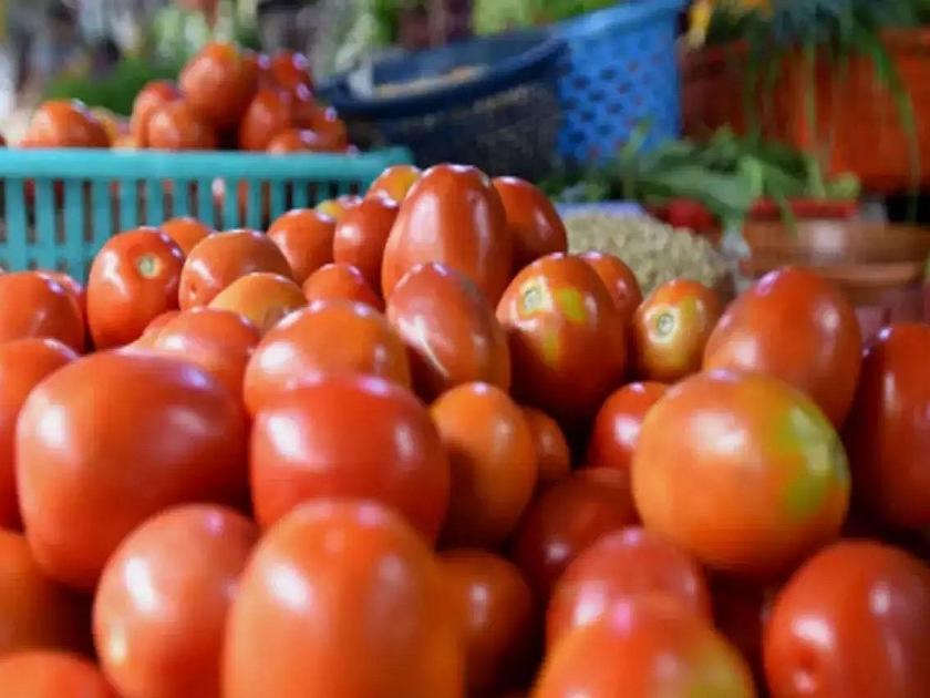 Tomatoes will be available at the rate of only 30 rupees per kg, but we will have to wait for so many more days | Tomato: केवळ ३० रुपये किलो दराने मिळणार टोमॅटो, पण अजून एवढे दिवस पाहावी लागणार वाट  