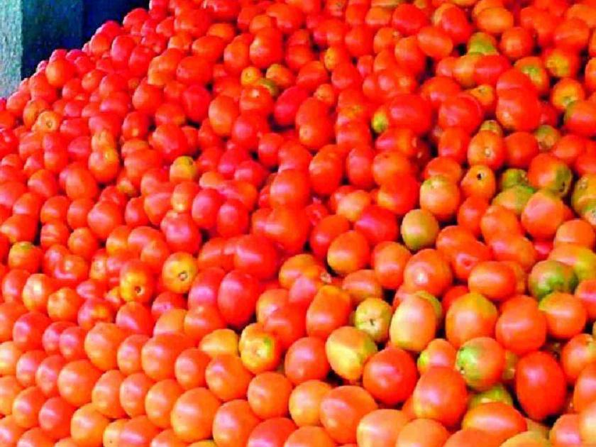 In Goa tomato is Rs 80 and onion is Rs 50 per kg | गोव्यात टोमॅटो ८० रुपये तर कांदा ५० रुपये किलो