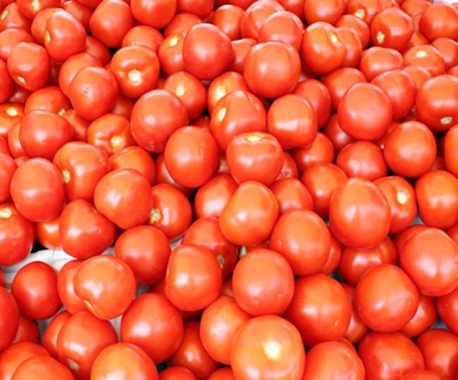  Tomato support to disadvantaged farmers! | नुकसानग्रस्त शेतकऱ्यांना टमाट्याचा आधार !