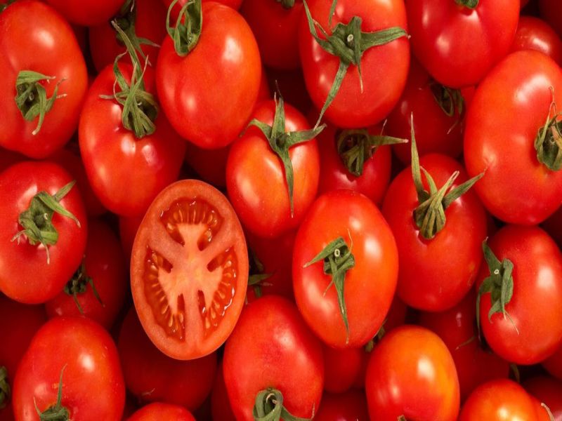 Vegetable prices sky-rocket tomatoes close in on 100 mark in maharashtra | टोमॅटोने गाठली शंभरी! स्पर्धा थेट पेट्रोलच्या दराशी; महाग होण्यामागे 'हे' आहे कारण