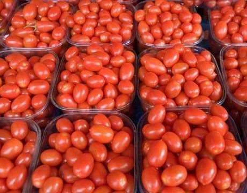 Increase in tomatoes rate due to reduced arrivals in Jalgaon | जळगावात आवक कमी झाल्याने टोमॅटोच्या दरात वाढ