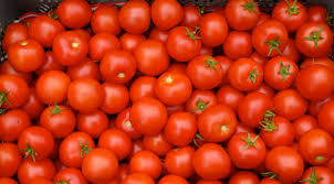 Tomato collapsed due to 'border closure'; Financial losses to farmers | ‘बॉर्डर बंद’मुळे ऐन हंगामात टमाटा गडगडला ; शेतकºयांना आर्थिक नुकसान