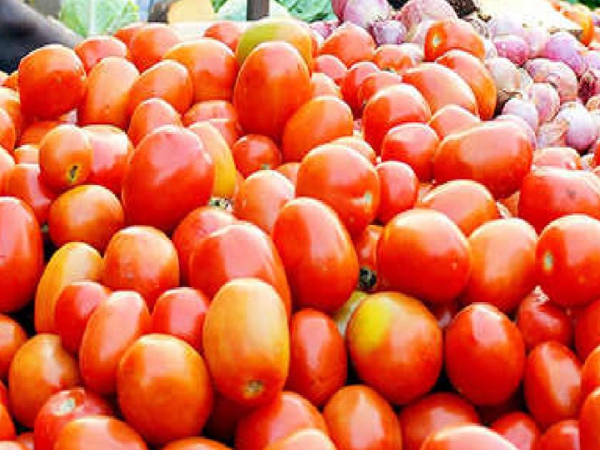 Tomatoes hit record highs, 100 to 120 rupees per kg | टोमॅटोला उच्चांकी दर!, शेतकरी म्हणतो पिकवायचा आम्ही, अन् दर ठरवतो व्यापारी