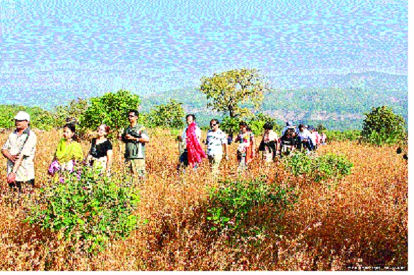 The Adventure Role Playing Campaign by the Raju Jadhav Memorial Foundation in the Gadagad to the Dazipur Ghanadat Jungle | राजू जाधव मेमोरियल फौंडेशनतर्फे गगनगड ते दाजीपूर घनदाट जंगलातील साहसी पदभ्रमंती मोहीम