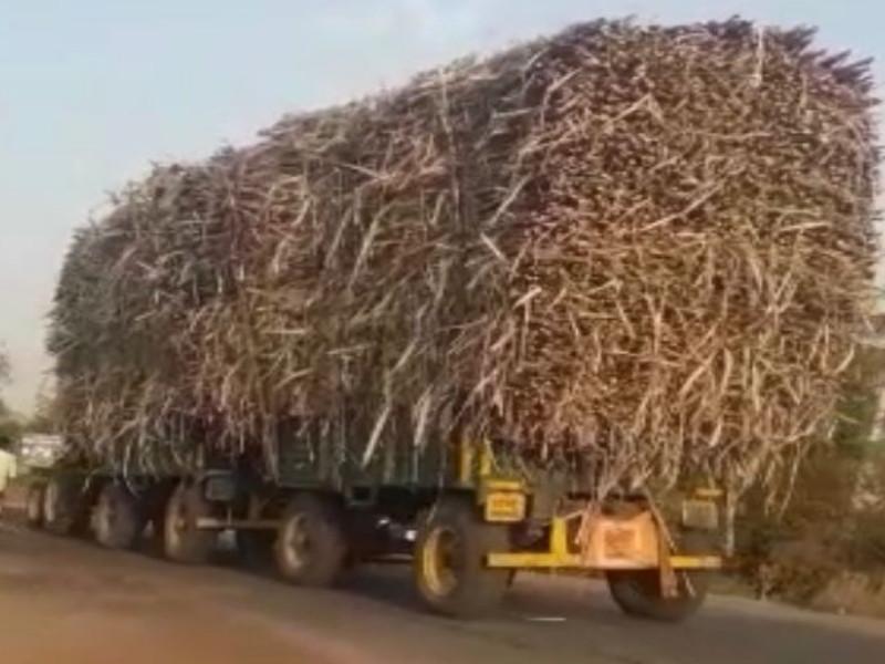 Farmers of Daund taluka set a new record of transporting 55 tons of sugarcane Watch the video | Social Viral: दौंड तालुक्यातील शेतकऱ्याने केला 'तब्बल ५५ टन' ऊस वाहतुकीचा नवा विक्रम; पहा व्हिडिओ...