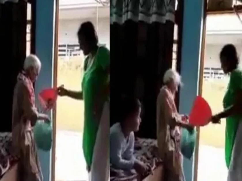 Viral News daughter in law beaten mother haryana | हृदयद्रावक! काम करायला नकार दिल्यानं ८२ वर्षीय सासूला मारहाण; सुनेनं घराबाहेर हाकललं