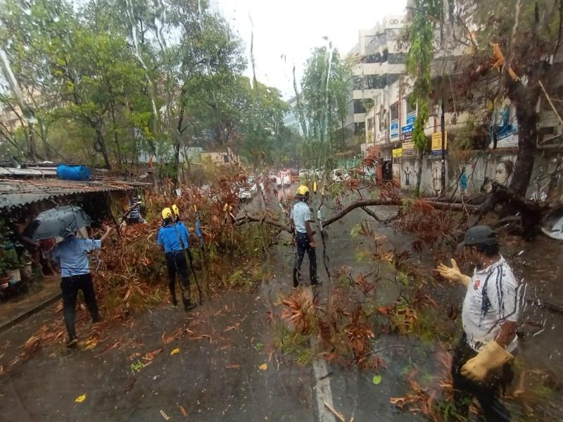 heavy rain in pune city tree have fallen in many places in city | वादळी वारा अन् जोरदार पाऊस; पुणे शहरात झाडपडीच्या घटना, जनजीवन विस्कळीत