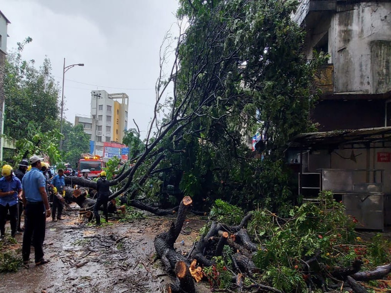 Rain in Pune haha: car! Trees fell on the road in many places; Annoyance of traffic congestion | पुण्यात पावसाचा हाहा:कार! अनेक ठिकाणी रस्त्यात झाडं कोसळली; वाहतूककोंडीचा मनस्ताप