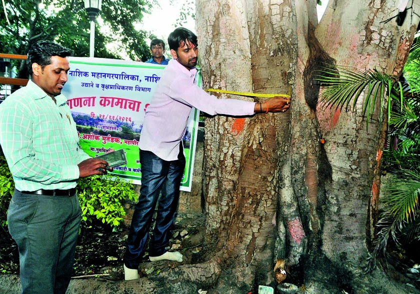  In Nashik, the number of trees crossed 40 lakhs | नाशिकमध्ये वृक्षगणनेत ४० लाखांचा आकडा झाला पार