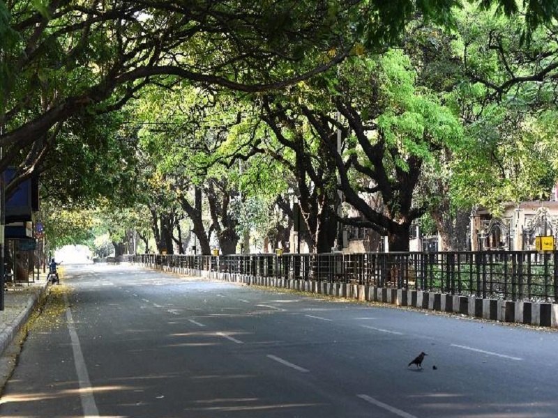 tree census in pimpri chinchwad corporation | पिंपरी-चिंचवड शहरातील वृक्षगणना कधी संपणार?