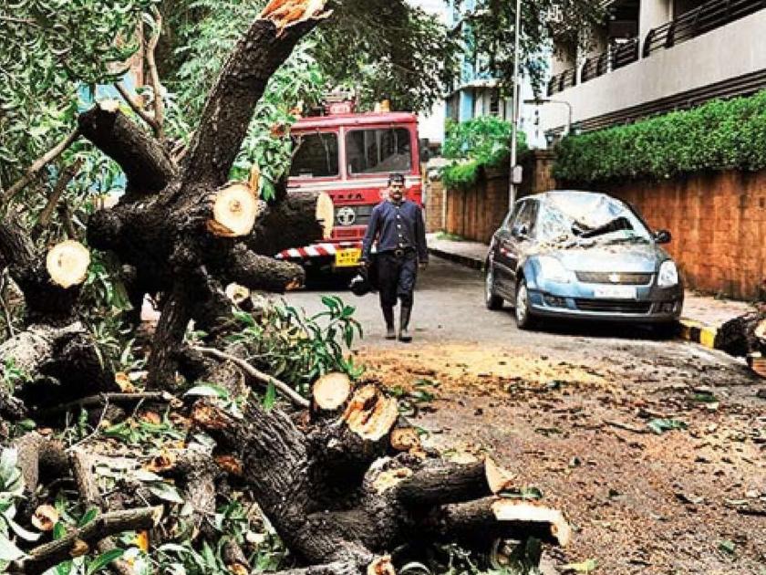 Now the ax will not work on the trees in mumbai | आता वृक्षांवर नाही चालणार सरसकट कुऱ्हाड