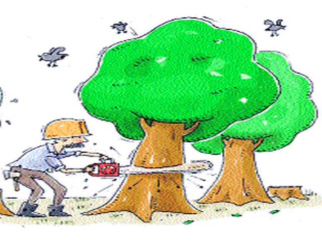Dwarka to Bitko Chowk will cut down the trees | द्वारका ते बिटको चौक दरम्यान झाडे तोडणार