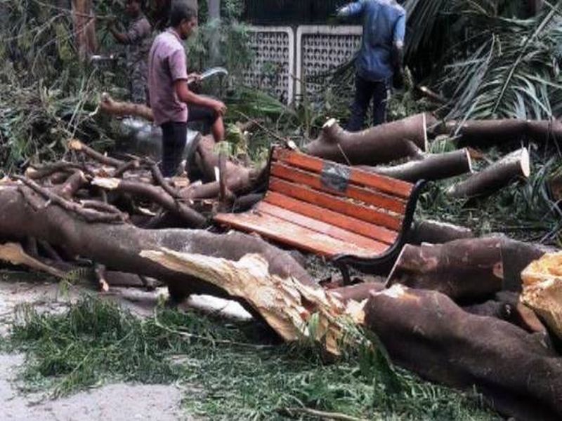 Mumbai: Unfortunate death of a woman in Chembur due to tree collapse | मुंबई: चेंबूरमध्ये झाड अंगावर कोसळून एका महिलेचा दुर्दैवी मृत्यू