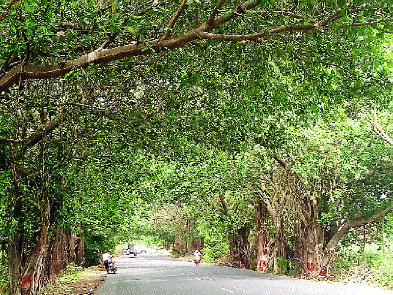 Through public-private partnership, trees can be planted on 40 lakh hectares | सार्वजनिक खाजगी सहभागातुन ४० लक्ष हेक्टरवर झाडे लावता येतील