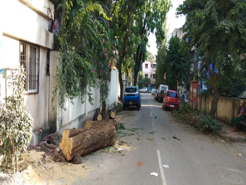 women stopped a tree slaughter in Chinchwad | चिंचवडमध्ये महिलांनी थांबविली विनापरवाना होणारी झाडांची कत्तल