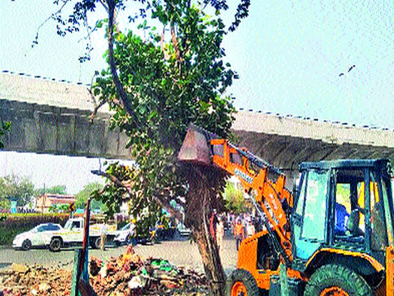 Mumbai City: Bulldozers run by the municipal corporation on the face of encroachment eradication squad | मुंबईनाका : अतिक्रमण निर्मूलन पथकाचा प्रतापवटवृक्षावर पालिकेने चालविला बुलडोझर