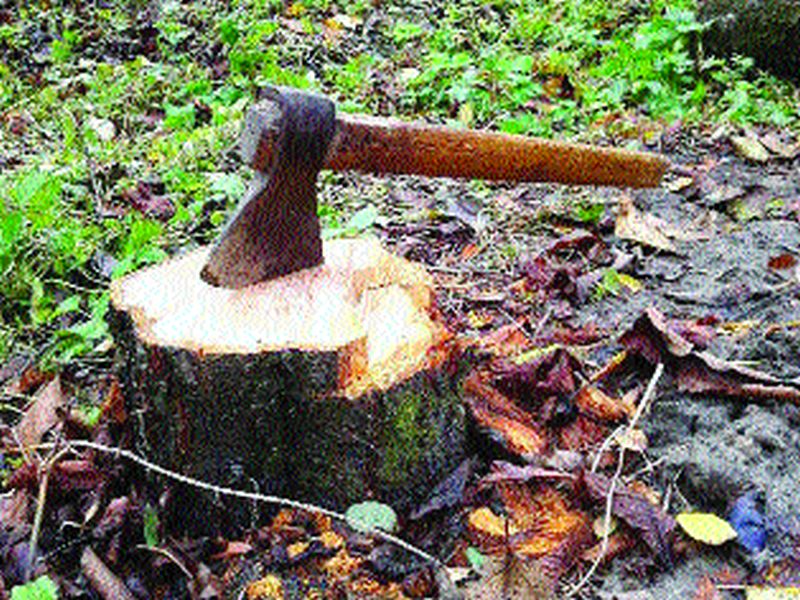 Victim of 5 lakh trees 'development' | पाच लाख झाडांचा ‘विकासा’साठी बळी