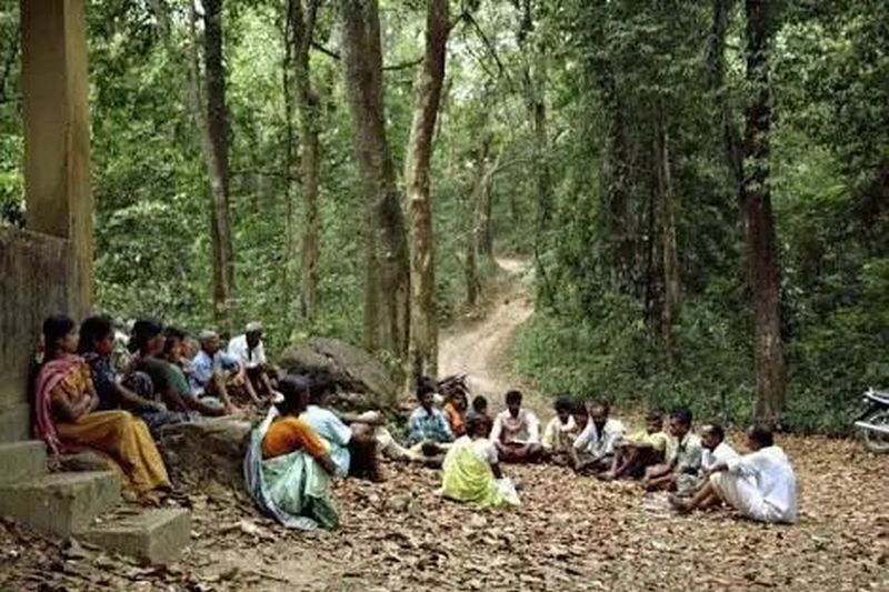 Decisions on tribal forest rights claims are pending | आदिवासींच्या वनहक्क दाव्यांचे निर्णय अधांतरी