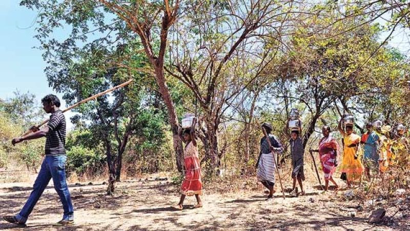Tribal villages in Nanded district are deprived of 'Pisa' | नांदेड जिल्ह्यात आदिवासी गावे ‘पेसा’ पासून वंचित