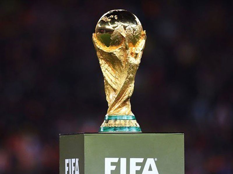 FIFA Football World Cup 2018: How To Get The World Cup trophy to stadium, Watch Video | FIFA Football World Cup 2018 : विश्वचषक स्टेटियममध्ये कसा दाखल होतो, पाहा हा व्हीडीओ