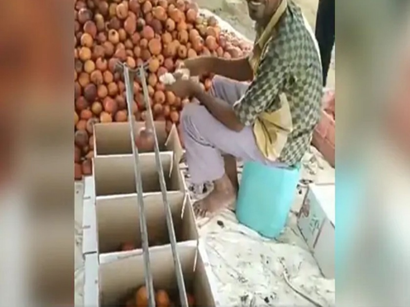 Unique way of selling fruits according to their size simple technique video viral | वाह क्या बात! फळविक्रेत्याची फळं विकण्याची नवीन स्टाईल पाहून तुम्हीही कराल कौतुक....
