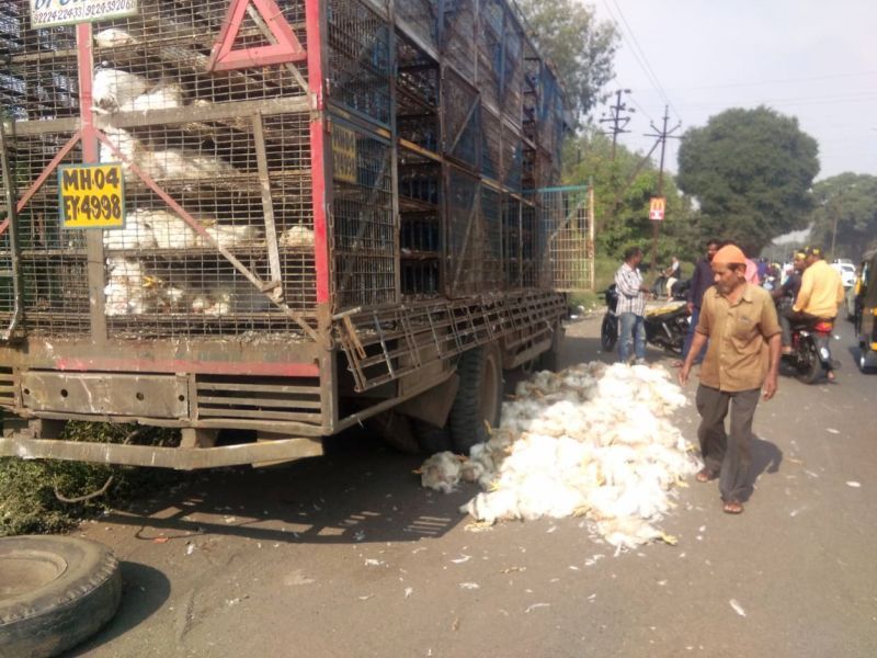 Three chickens died due to overturning truck transporting chickens | कोंबड्यांची वाहतूक करणारा ट्रक उलटल्याने ४००कोंबड्या मृत्यूमुखी